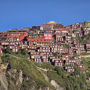 Sichuan Tour